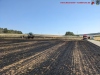Brand Freifläche groß, Helmstadt, 19.07.2022